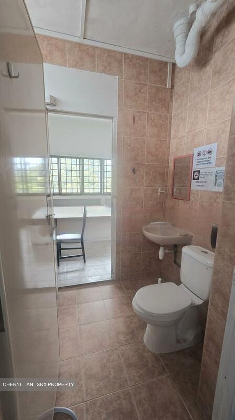 Moulmein Court (D11), Apartment #482296241